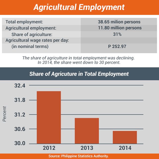 EMPLOYMENT IS DECLINING. Data from PSA showed that the share of agriculture in total employment is declining. Rappler graph 