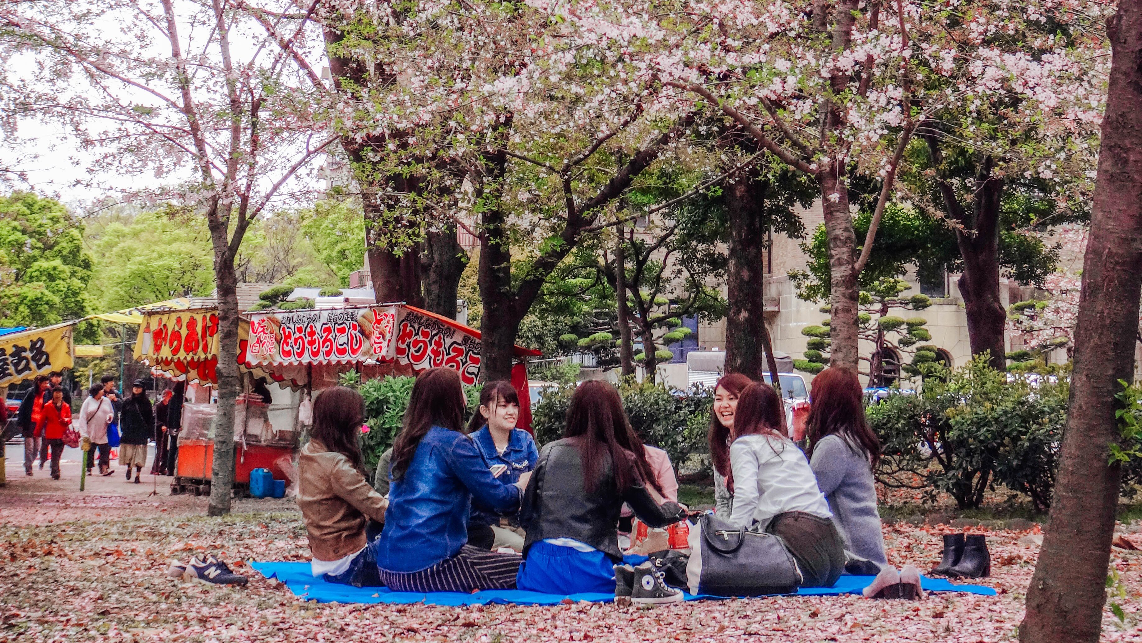 GATHER 'ROUND. Tsuruma Park, one of many beautiful sakura viewing spots in Japan. Photo provided by Irene Maligat 