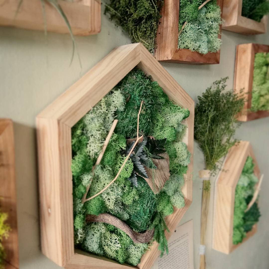 Moss wall art (P3,499) from Habil Crafts, Common Room, Alabang Town Center