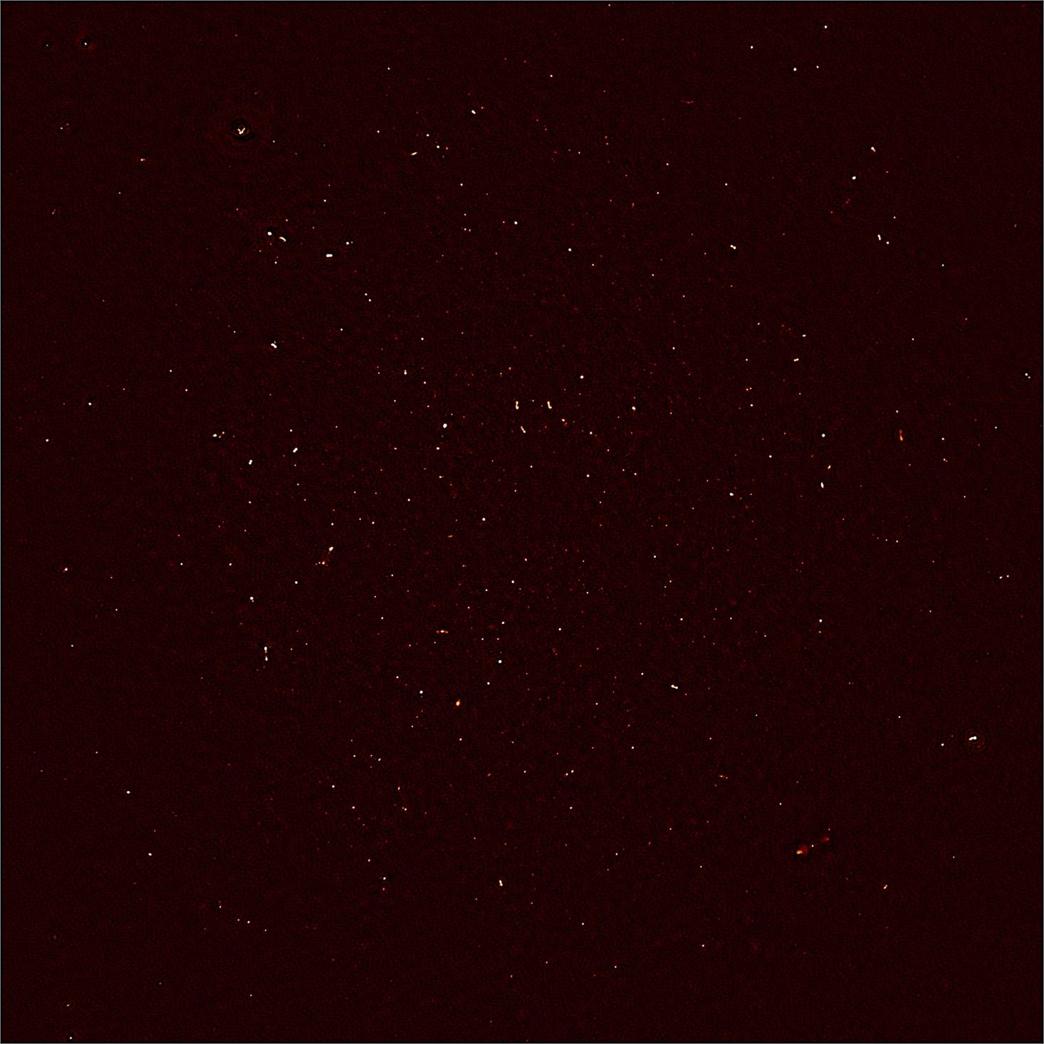 MeerKAT First Light image. Each white dot represents the intensity of radio waves recorded with 16 dishes of the MeerKAT telescope in the Karoo (when completed, MeerKAT will consist of 64 dishes and associated systems). More than 1300 individual objects - galaxies in the distant universe - are seen in this image. Image courtesy SKA 