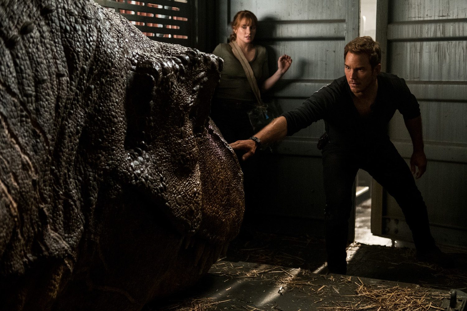 RESCUE. Claire and Owen try to save the dinosaurs from danger. 