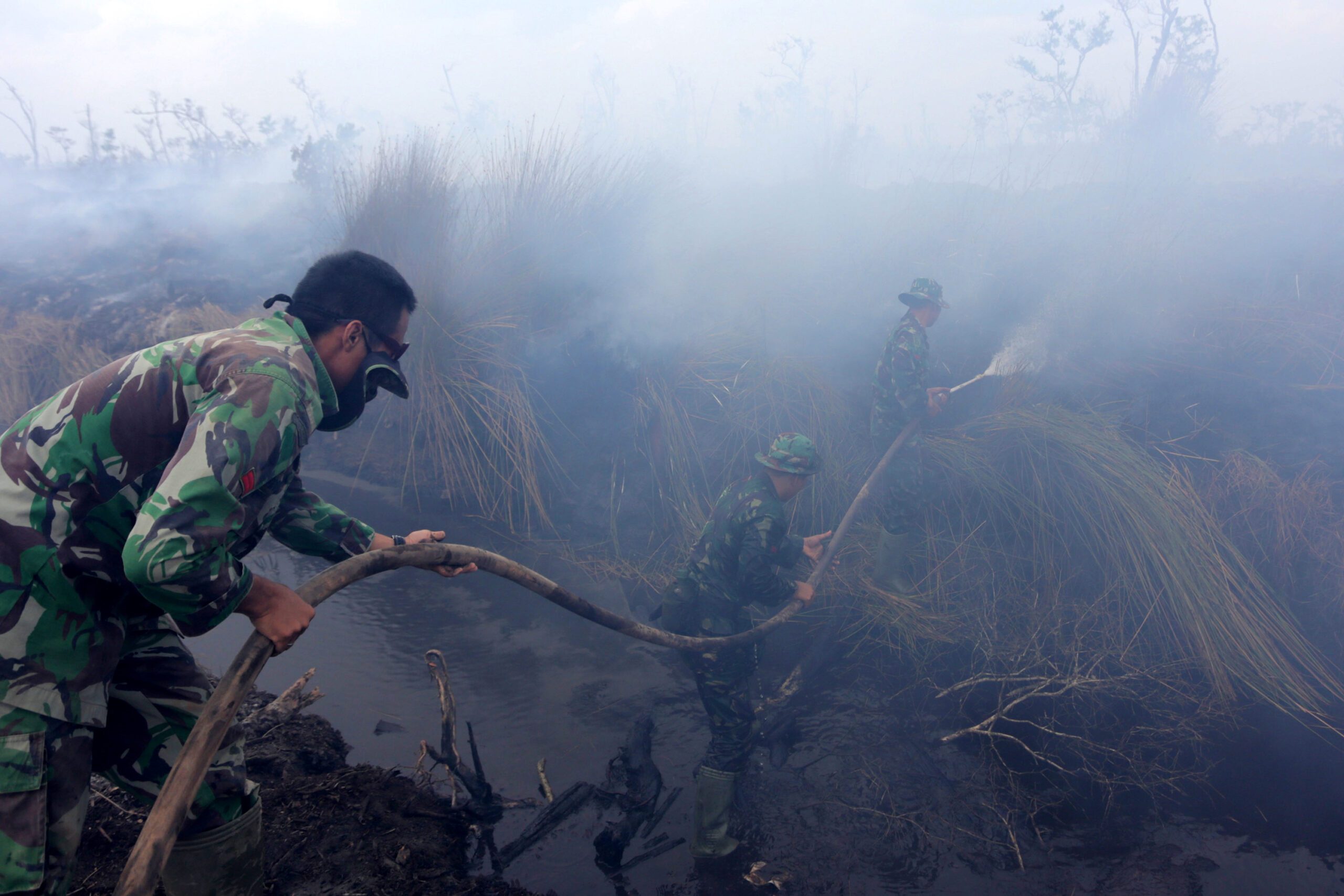Indonesia finally accepts international help to combat fires