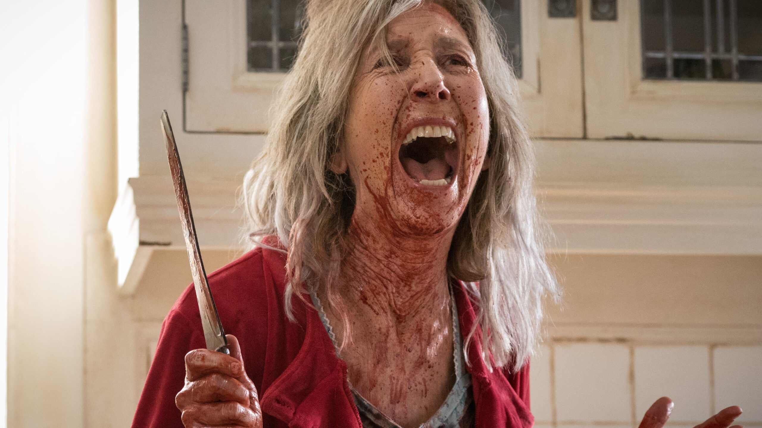 Rage, fear in ‘The Grudge’ remake: An interview with ‘Queen of Horror’ Lin Shaye