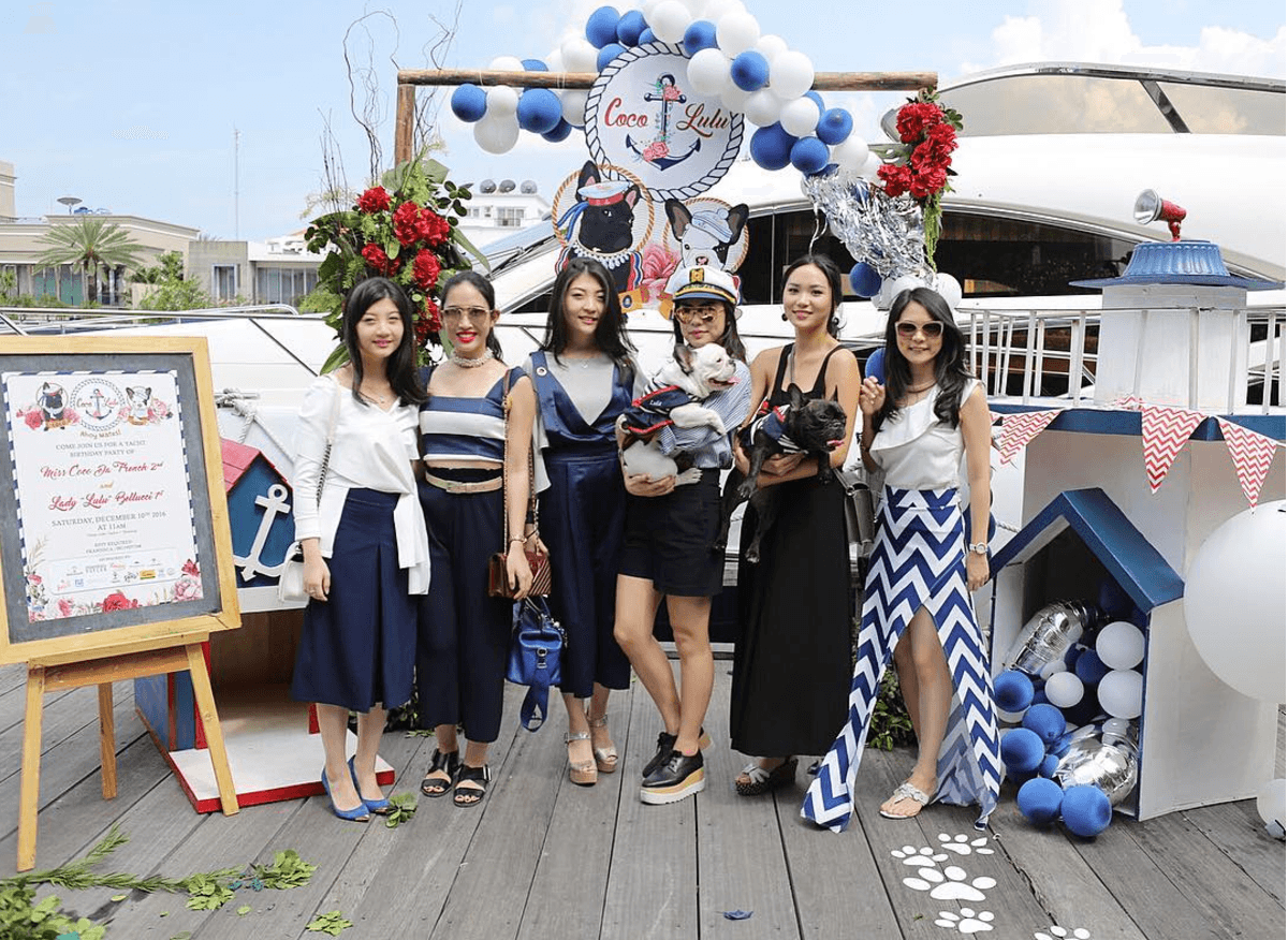 Socialite couple throws lavish yacht party for their dogs