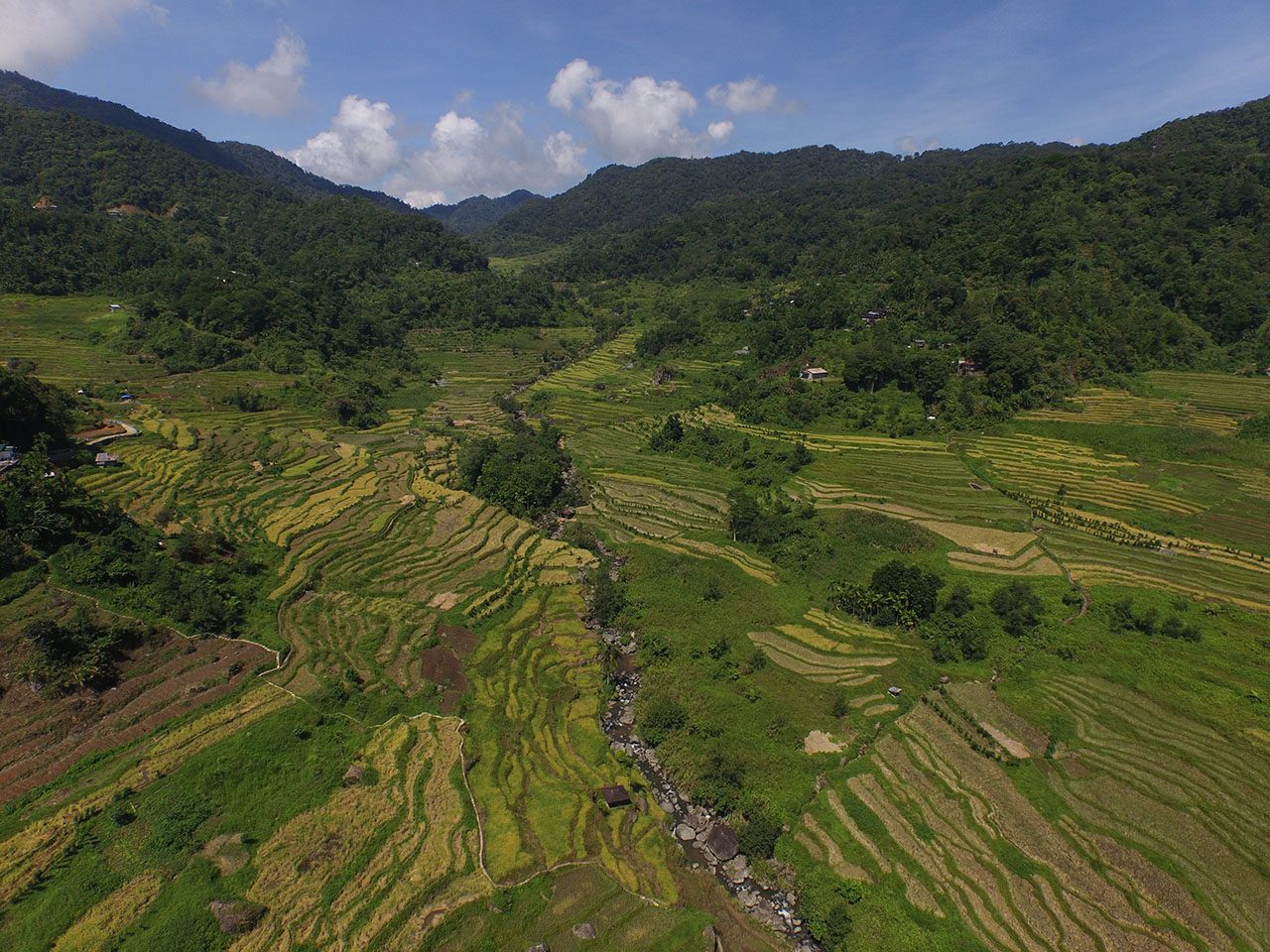 Demystifying the age of the Ifugao Rice Terraces to decolonize history