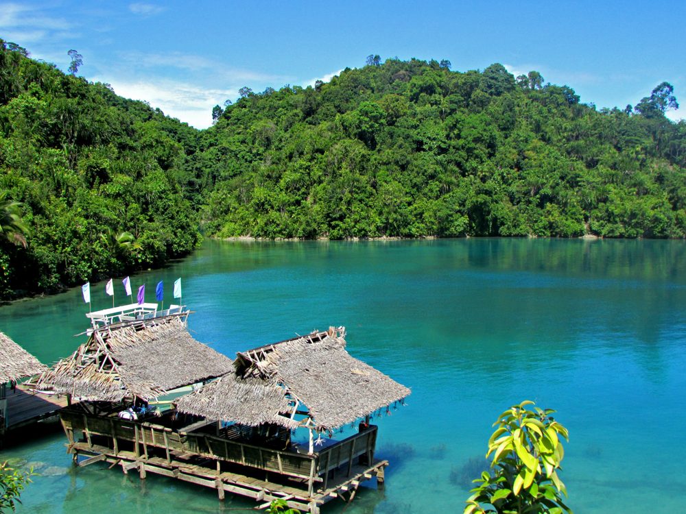 BLUE LAGOON. This quiet lagoon in Surigao teems with stingless jellyfish. Photo by Dennis Dolojan 