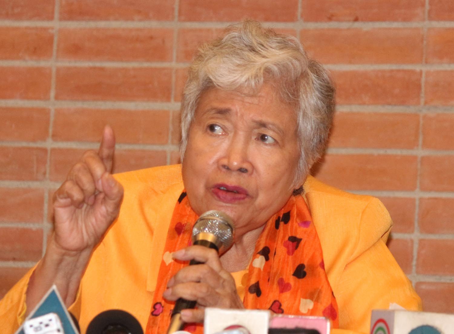 Briones: There might be more problems if we suspend K to 12