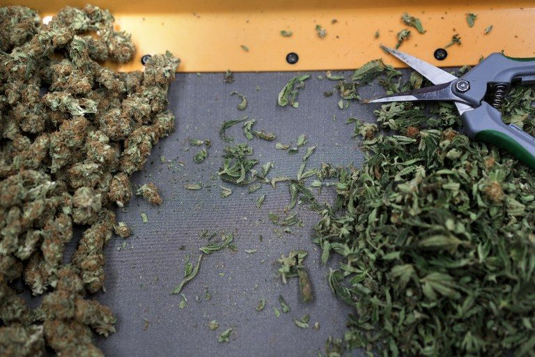 ‘High demand’ as Nevada becomes latest U.S. state to legalize marijuana