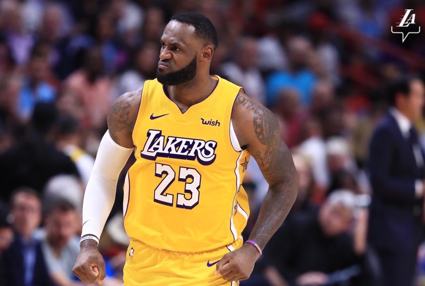 Davis pumps in 33, LeBron gets pep talk as Lakers down Heat