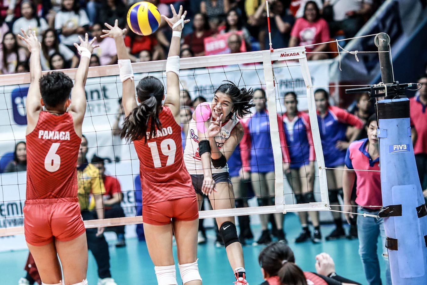Creamline completes 20-0 sweep to retain PVL Open Conference crown