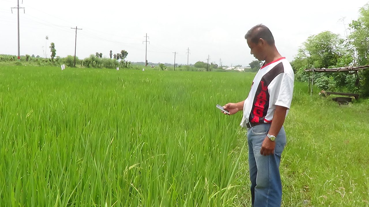 [Executive Edge] Empowering the Filipino farmer via texting