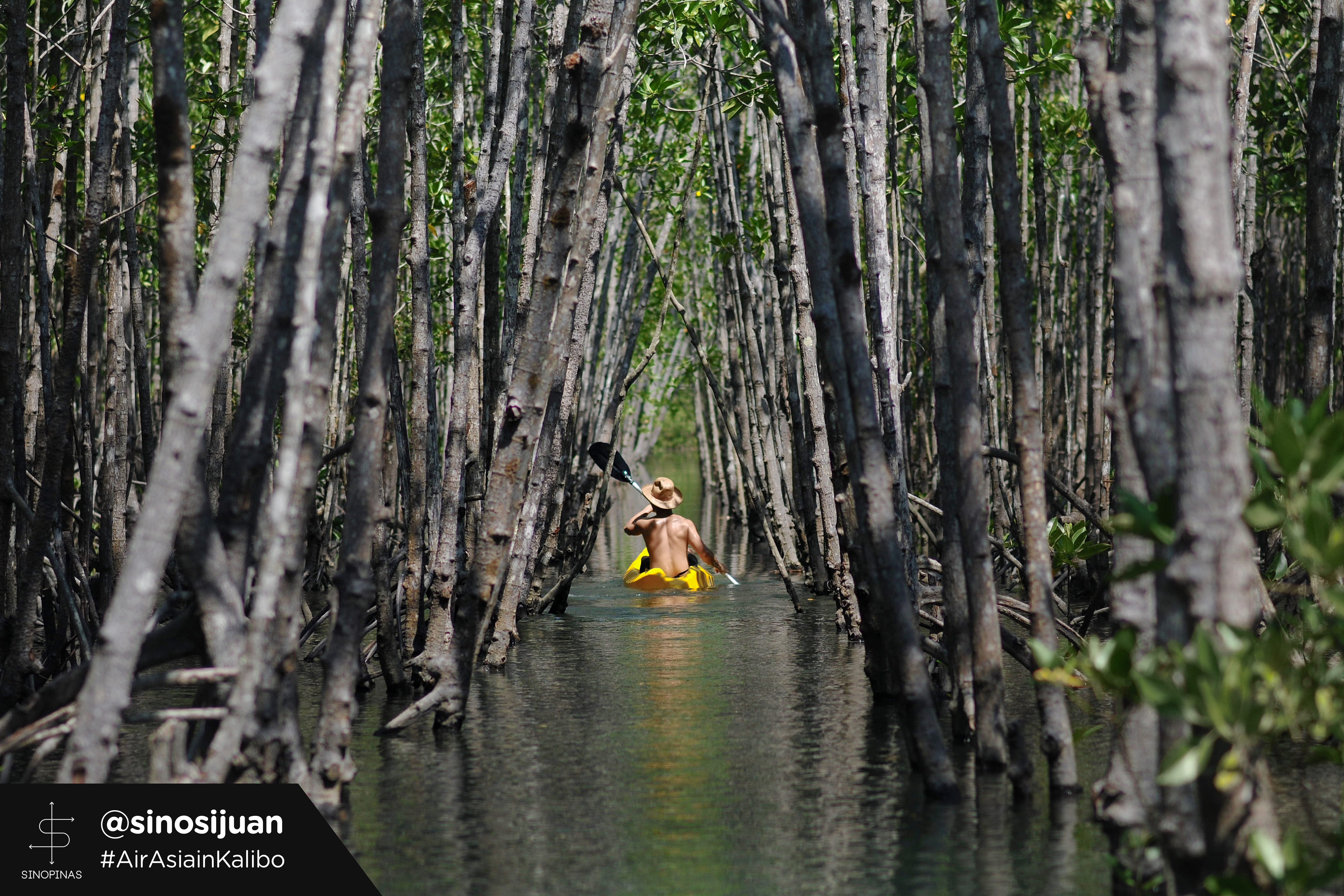 KAYAK. Between some mangroves are creeks like this perfect for kayaking. Photo by Alexis Lim courtesy of AirAsia 