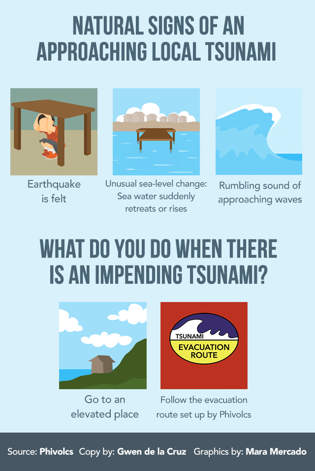 Tsunami 101: What you need to know about tsunamis