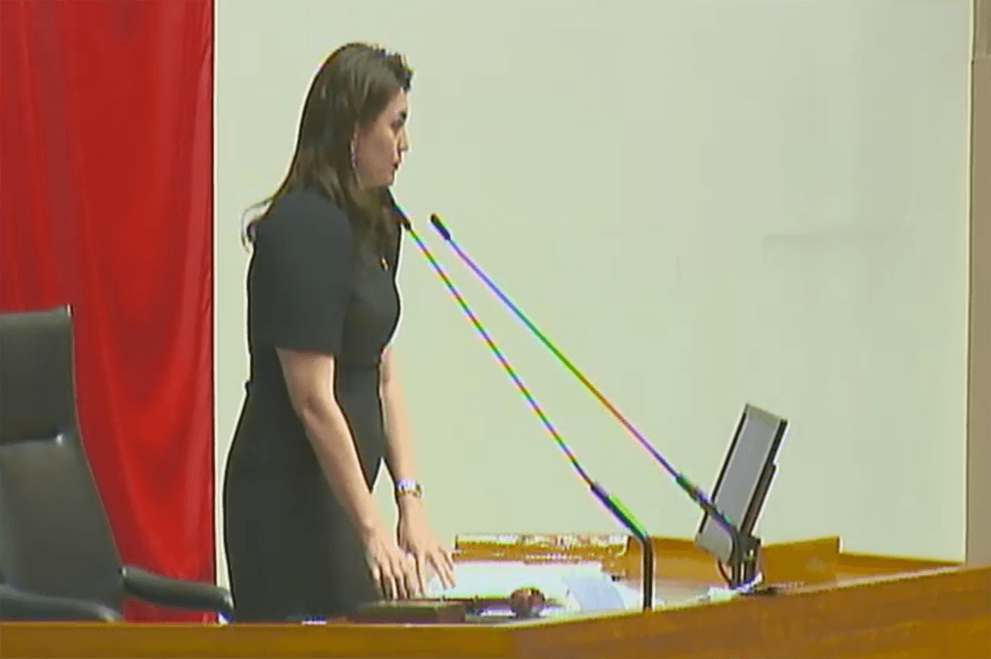 Tingog Sinirangan Representative Yedda Marie Romualdez. Screenshot from House of Representatives' Youtube account 