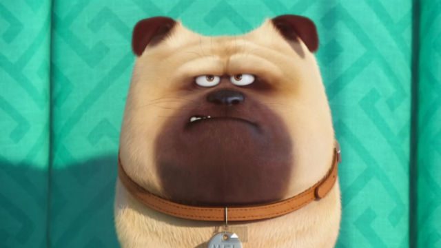 WATCH: First trailer, ‘The Secret Life of Pets’
