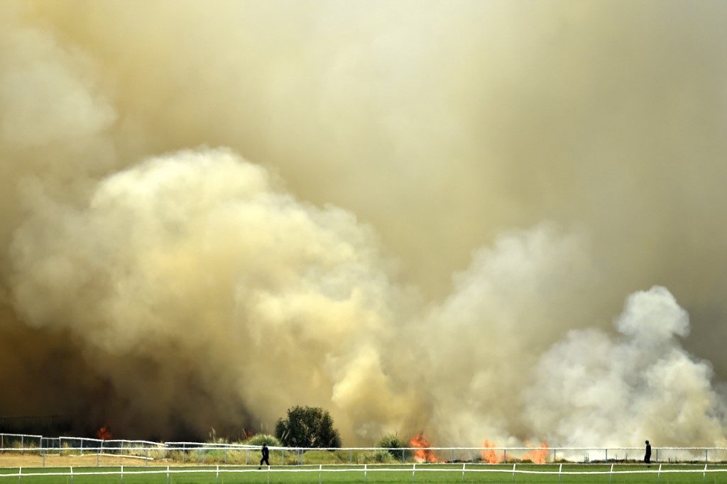 Toxic Sydney bushfire haze a ‘public health emergency’