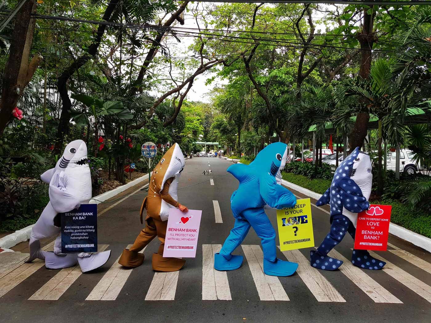 'SHARKADA'. Shark mascots head to the DENR ala-The Beatles' 'Abbey Road,' to seek legal protection for Benham Bank on February 14, 2018. Photo courtesy of Gregg Yan/Oceana  