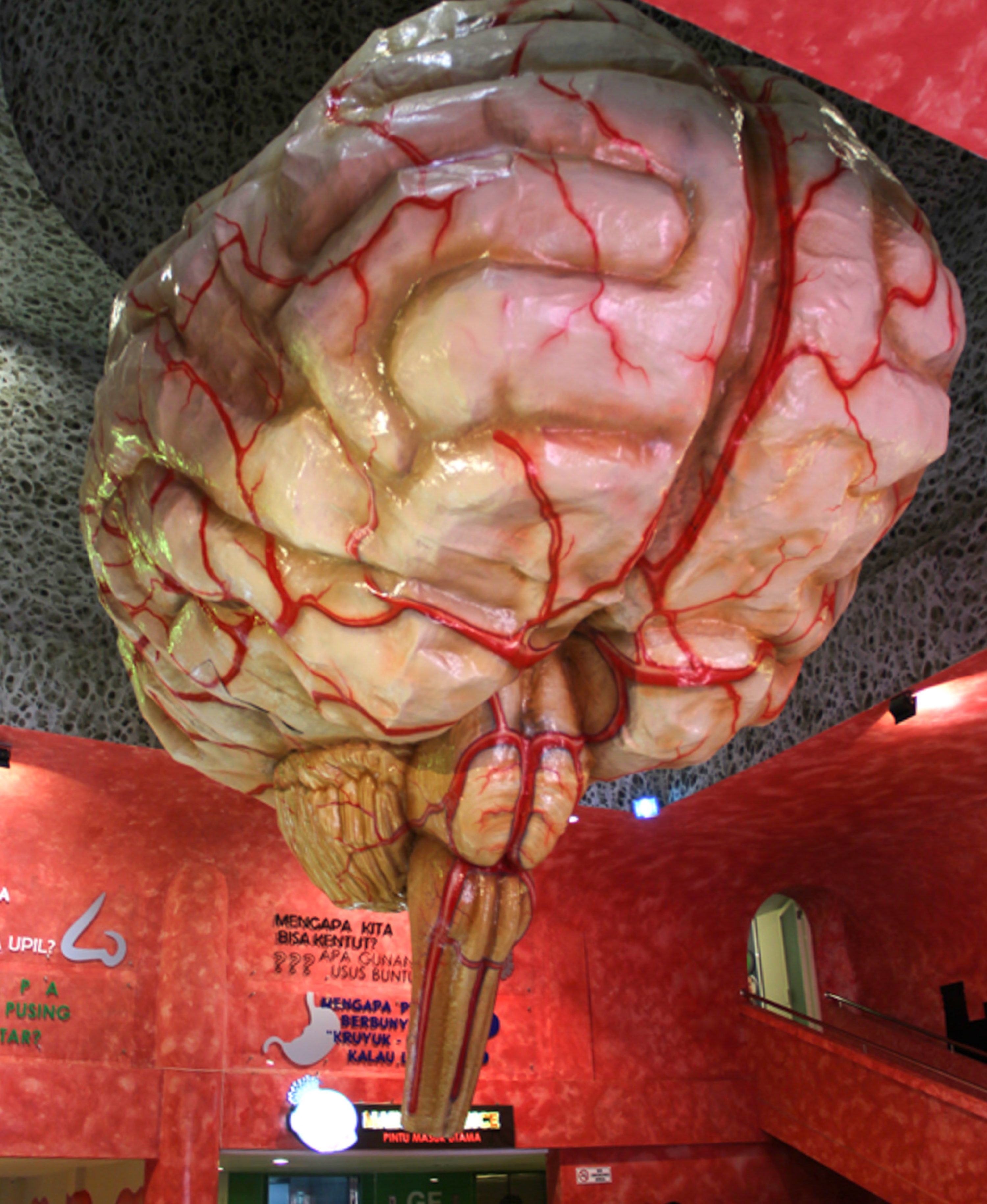 INTERACTIVE DISPLAYS. One immediately gazes upon a giant reproduction of the human brain and proceeds to the different organs at the Bagong Adventure Museum Tubuh.  