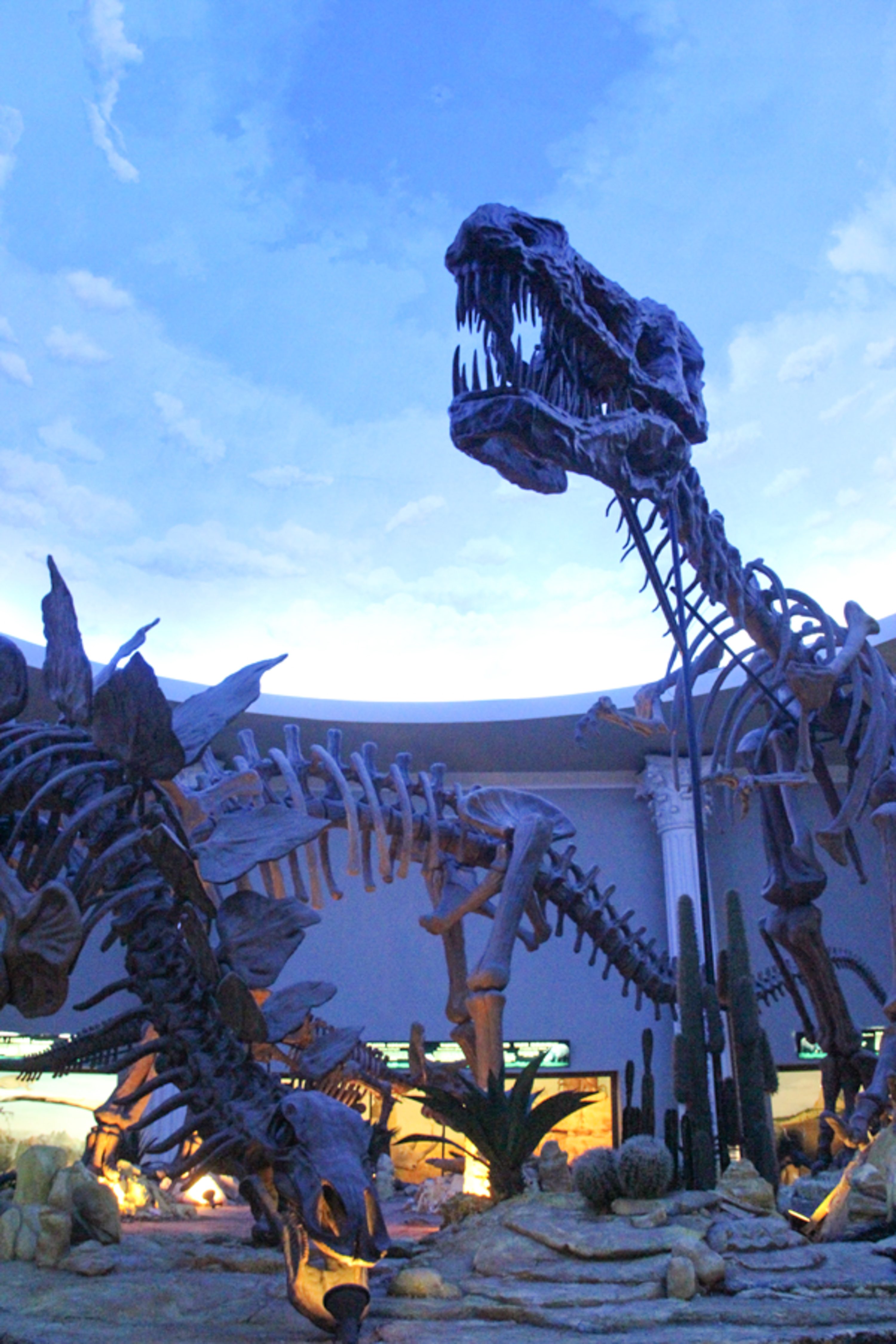 DINOSAURS. A tyrannosaurus looms above a stegosaurus.  