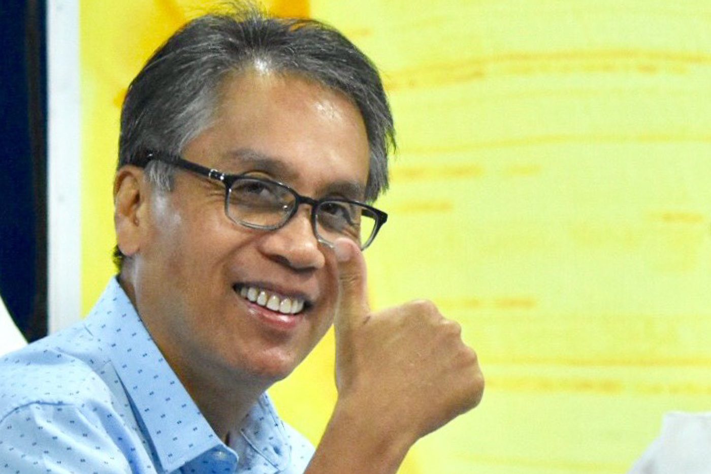Mar Roxas seeks to block Senate bid of another Roxas
