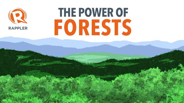 #ClimateActionPH: Why forests are a crucial weapon