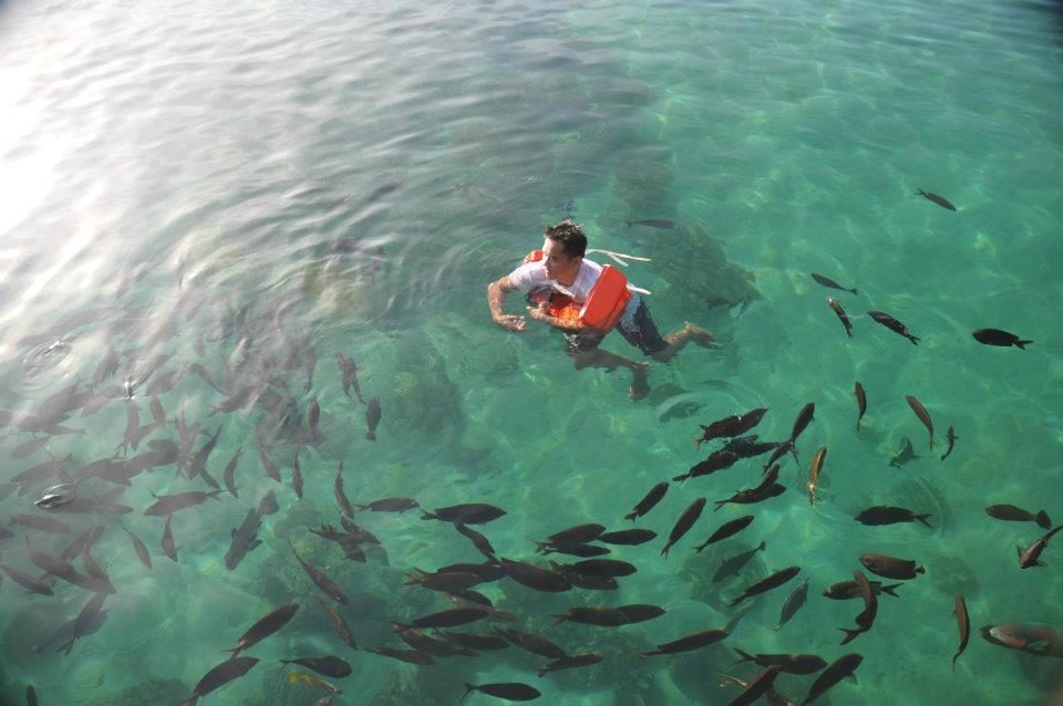 Swimming with fish. Photo via Dennis Ruiz 