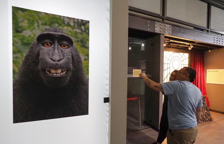 It’s official: monkey doesn’t own selfie copyright – US court