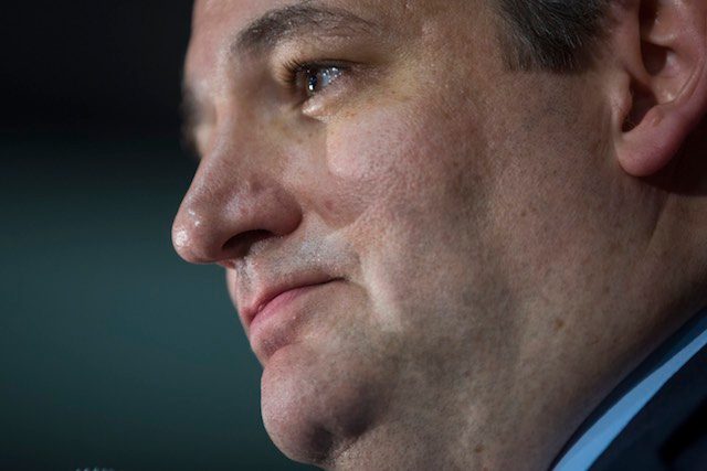 Ted Cruz: Tea Party firebrand strikes first blow in Iowa