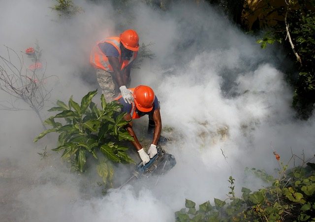 Zika virus: WHO mulls global health emergency