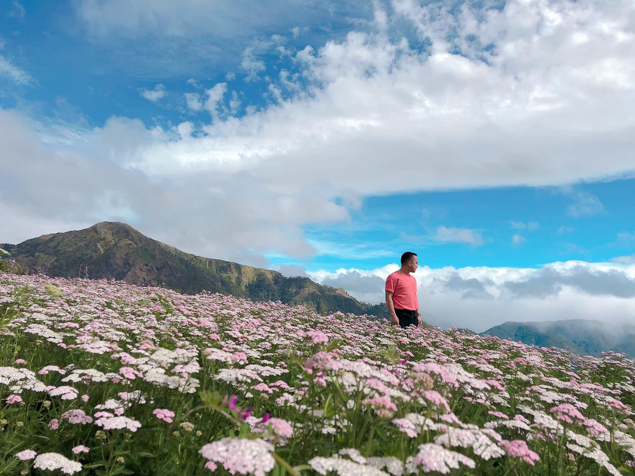 FLOWERS AND MOUNTAINS. Northern Blossom Flower Farm’s flowers are set amid Cordillera’s mountains and chilly weather. All Northern Blossom photos by or courtesy of Ivan Jim Layugan 
 