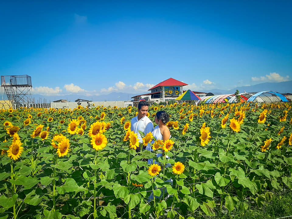 PHOTO OP. The sunflowers are perfect for your couple shots too!  
 