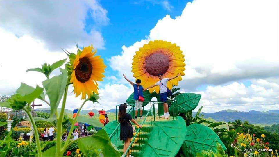 SUNFLOWERS. Both real and prop sunflowers make for interesting photo angles. Photo courtesy of Sirao Garden    
 