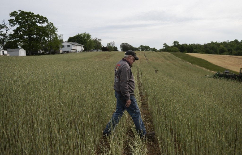 ‘It’s kind of glum’: U.S. farmers worry as crop prices dip
