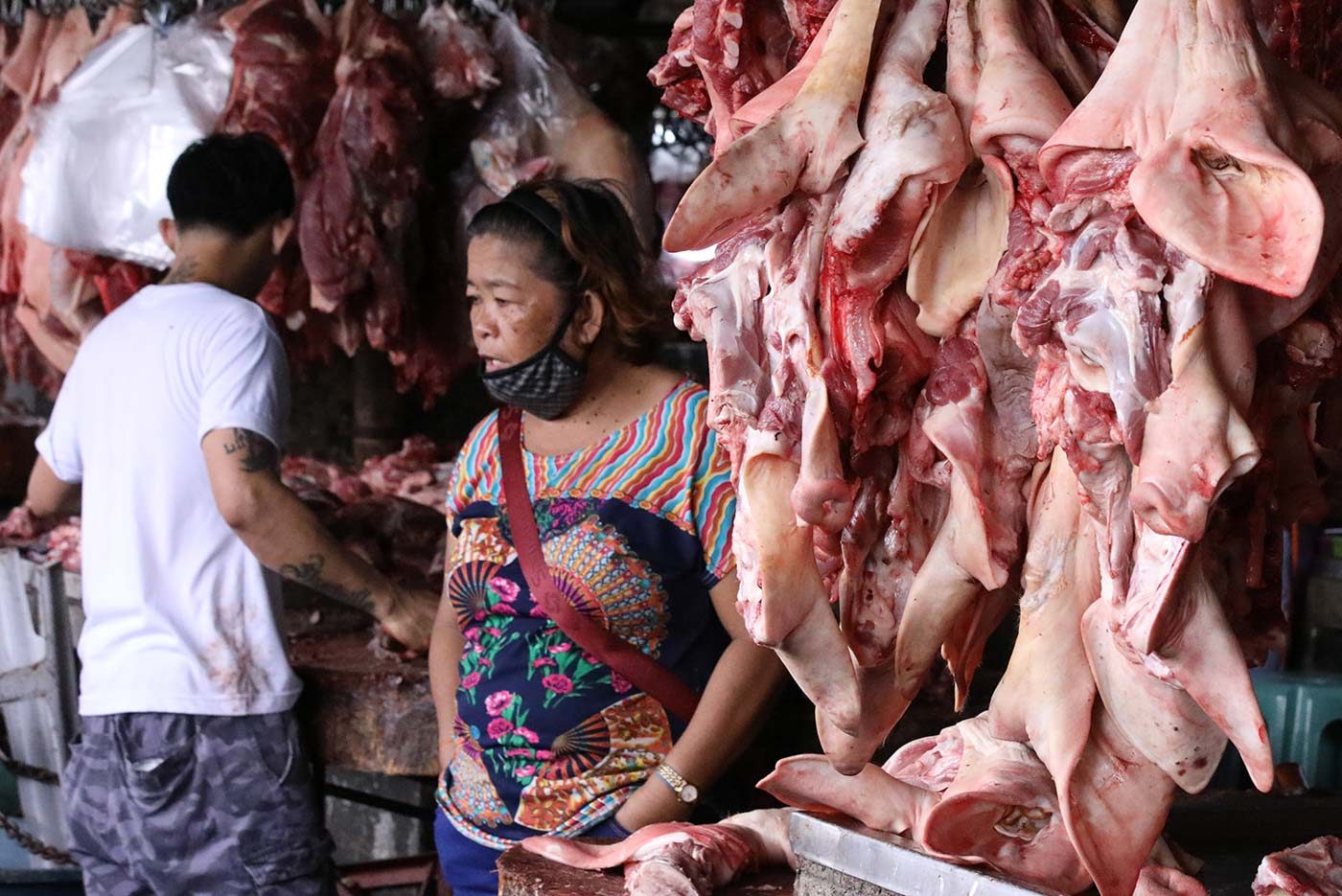 Agriculture department evades questions as pigs die in Luzon