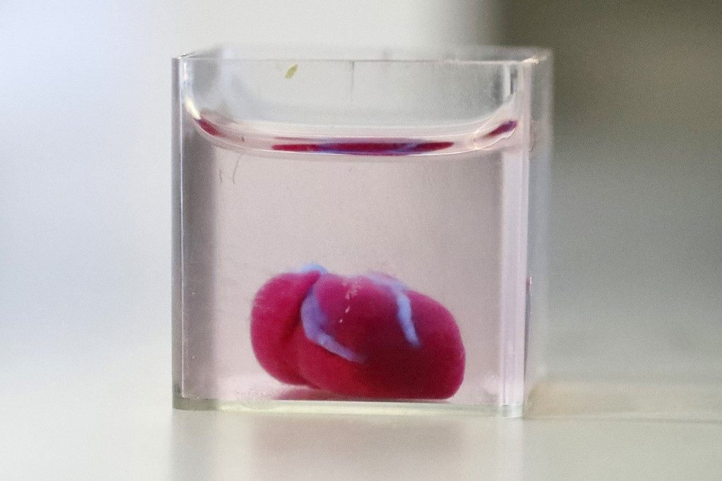 ‘First’ 3D print of heart with human tissue, vessels unveiled