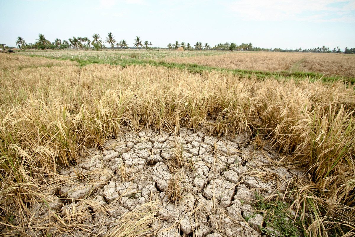 How vulnerable is Mindanao to El Niño?