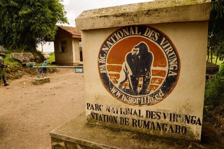 Oil confirmed under Africa’s oldest wildlife park Virunga – DRC gov’t