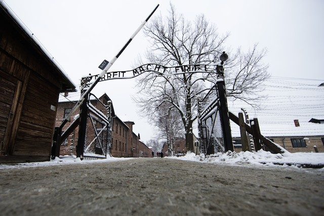 ‘Never forget,’ Auschwitz survivors appeal to world