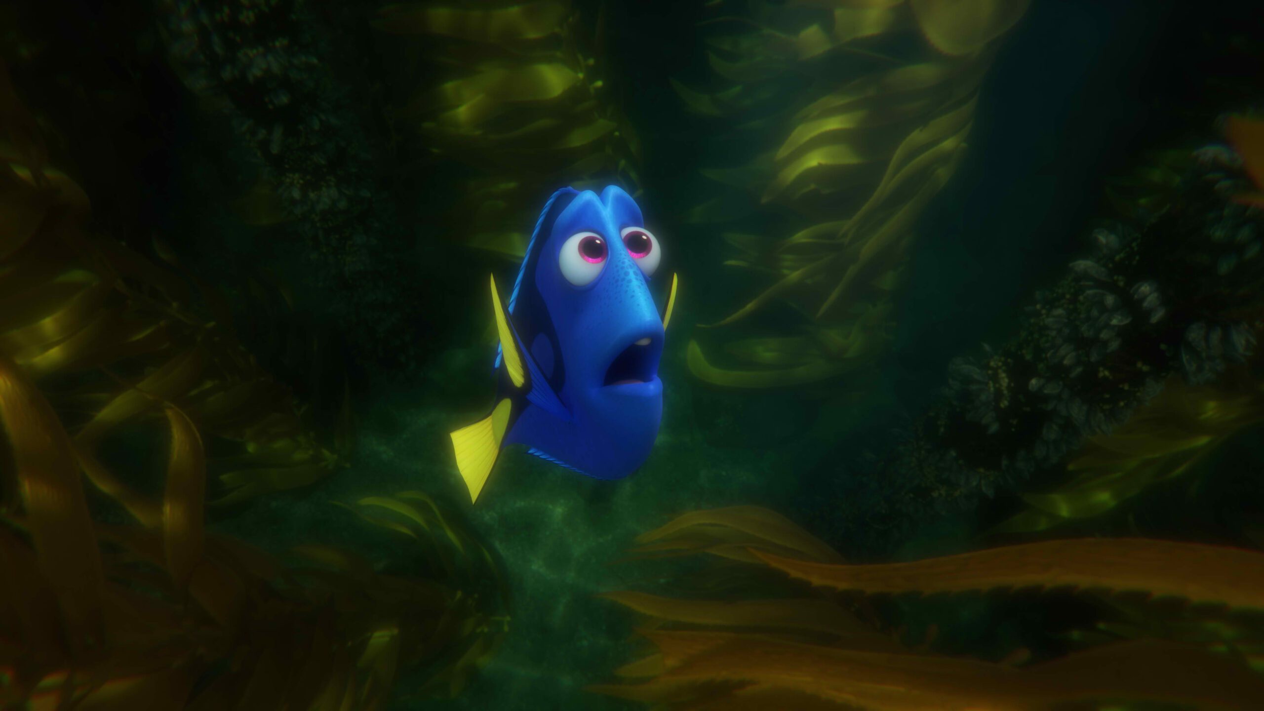 WATCH: Justin Bieber’s ‘Sorry’ gets ‘Finding Dory’ treatment