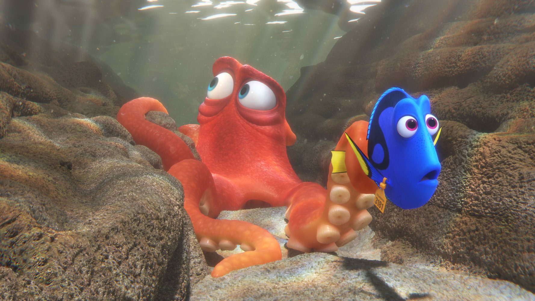 TOUCH POOL. Paul Abadilla says his favorite scene in 'Finding Dory' is the one where Hank and Dory race through a touch pool, because he worked on a lot of its environments. Photo courtesy of Disney-Pixar  