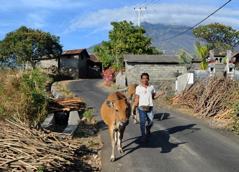 Pengungsi gunung berapi Bali yang berada di luar zona bahaya disuruh pulang