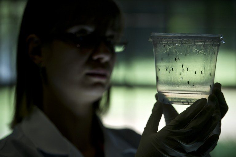 Iloilo woman tests positive for Zika virus