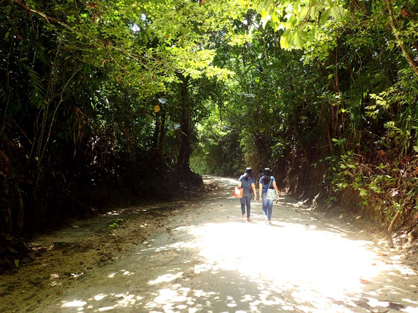 FOREST WALK. From the ticketing and briefing area, tourists headed to the Enchanted River can walk under the shade of native trees for around five minutes. Photo by Claire Madarang/Rappler 
