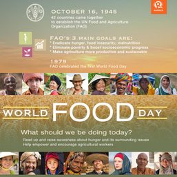 INFOGRAPHIC: Why we celebrate World Food Day