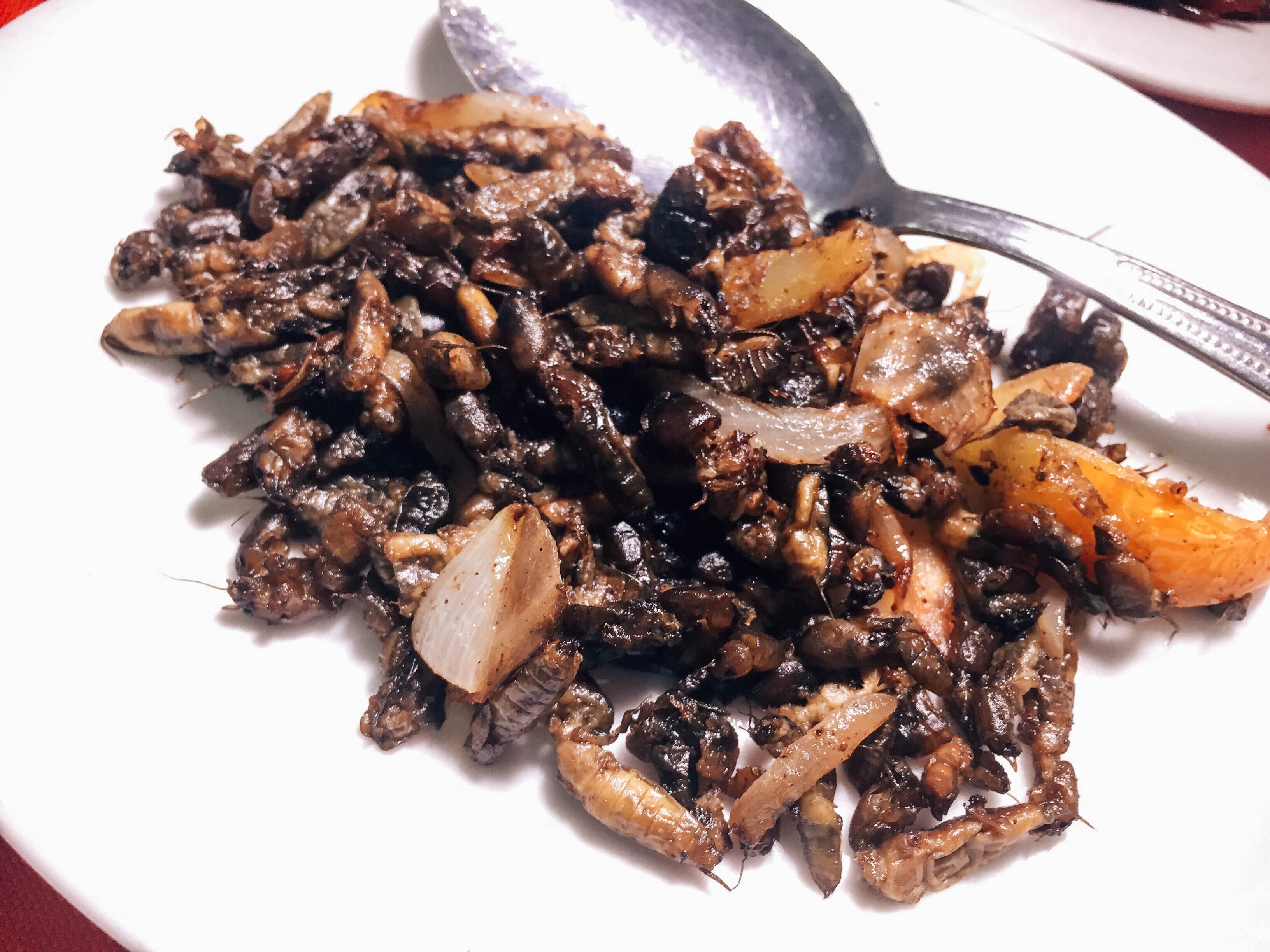 CAMARU. Fried crickets are a delicacy in Pampanga. Photo by Vernise L. Tantuco   