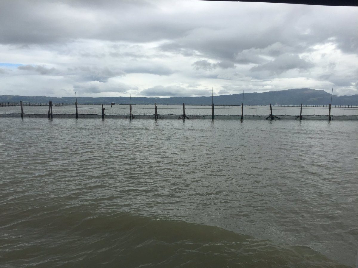 DENR begins massive dismantling of Laguna Lake fish pens