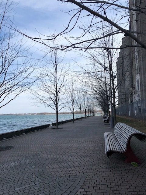 BARE. An empty park near Toronto's waterfront. Photo by Marites Sison  
