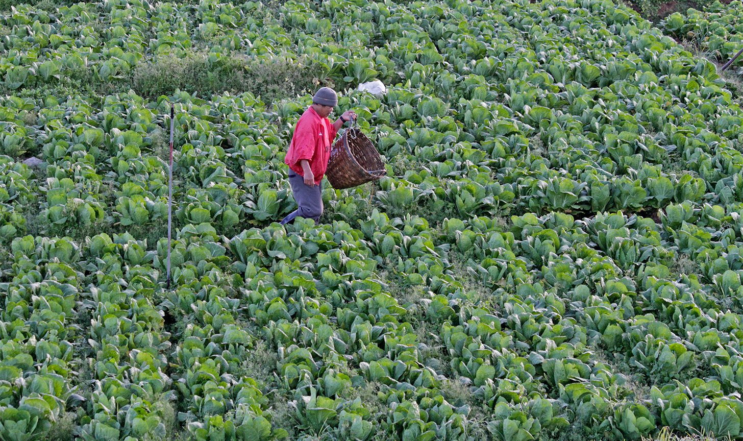 More jobs in a green economy – ILO report