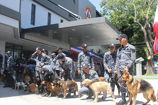 Dogs to the rescue! Coast Guard trains K-9s for disaster response