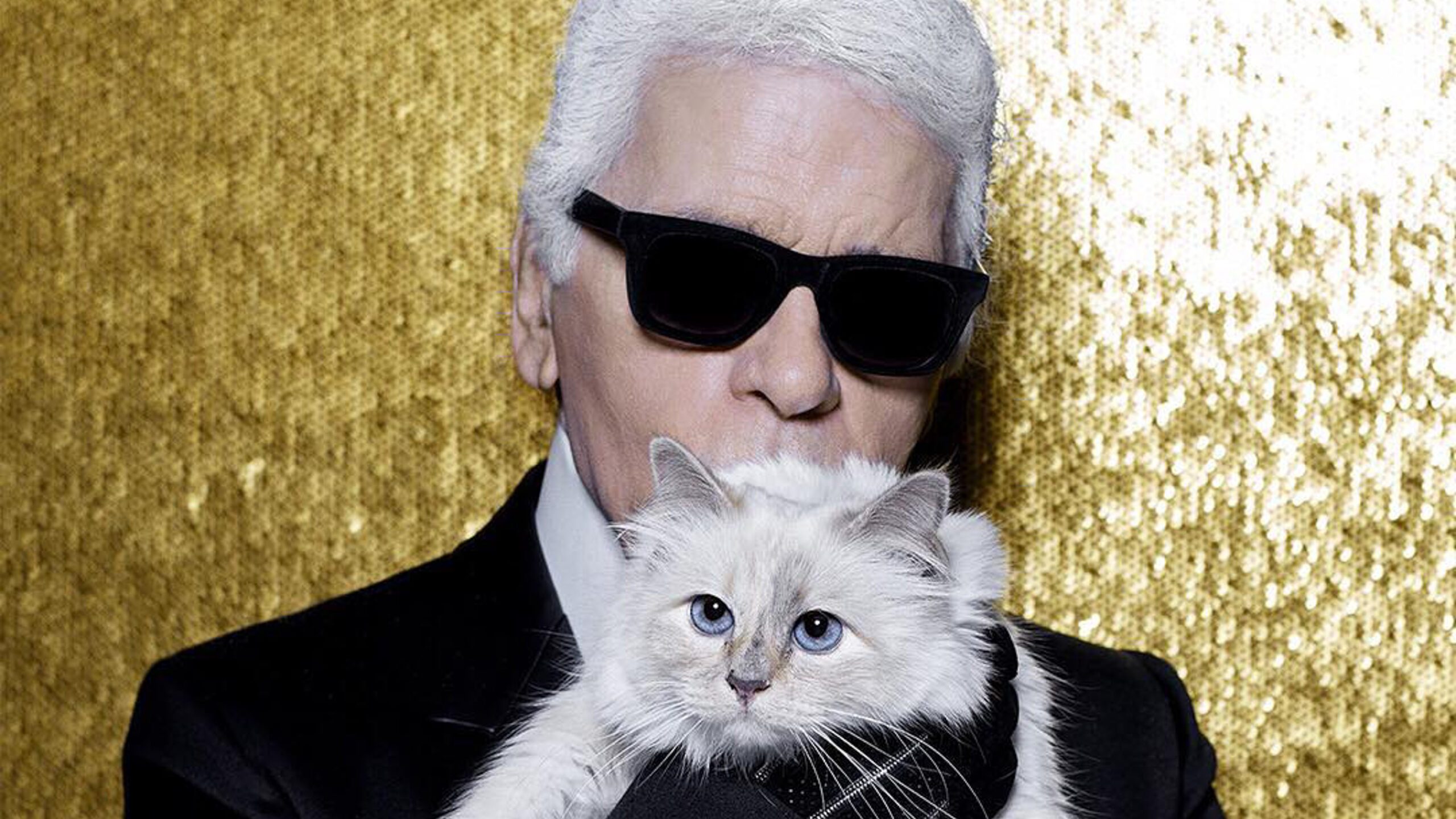 Karl Lagerfeld to collaborate with Vans
